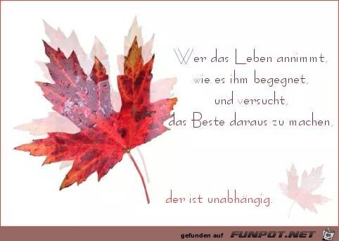 Das Beste Das Beste