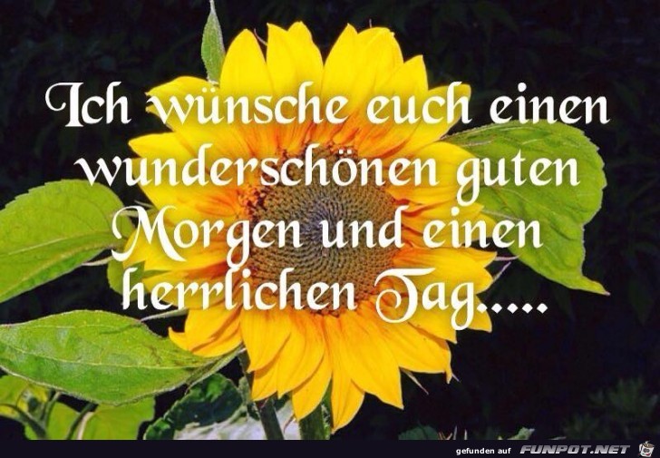 Ich wuensche euch Ich wuensche euch