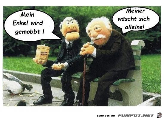 Enkel wird gemobbt Enkel wird gemobbt