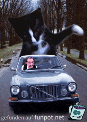7 7