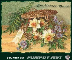 Danke 3 Danke 3