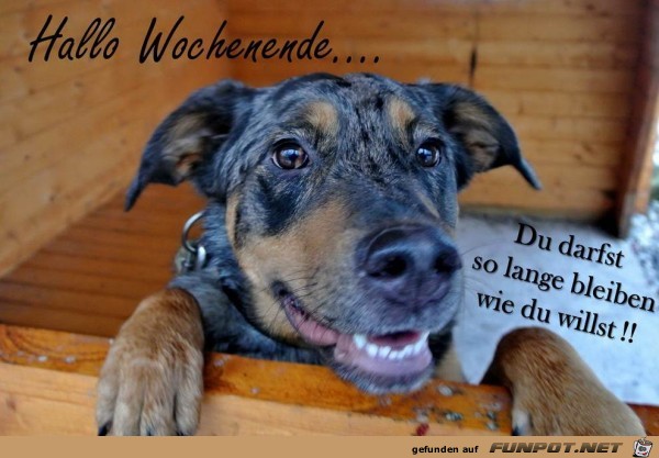 hallo Wochenende hallo Wochenende