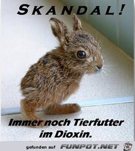 Skandal