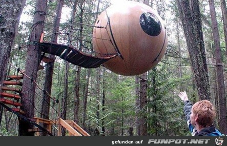 ball ball