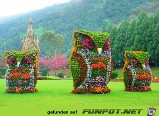 Blumendekorationen