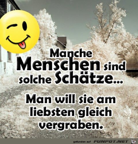 Manche Menschen