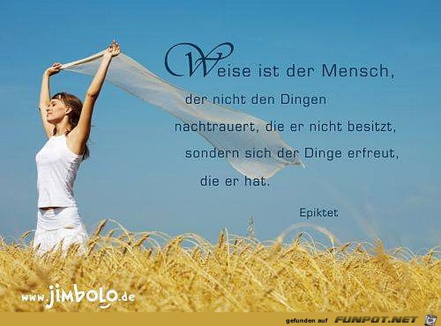 Weise ist der Mensch