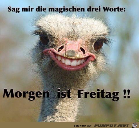 magische worte