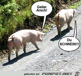 080823-geiler Arsch 080823-geiler Arsch