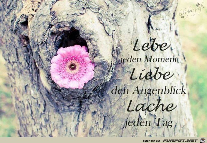 Lebe