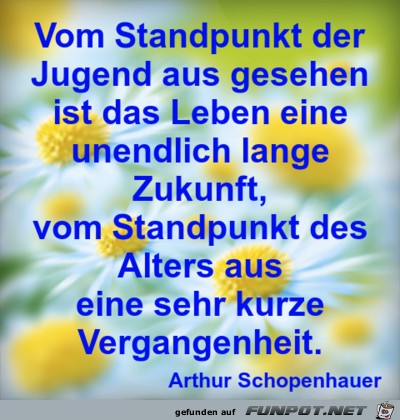 vom standpunkt 