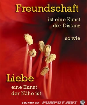 Freundschaft ist eine Kunst