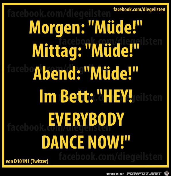 diegeilsten muede diegeilsten muede