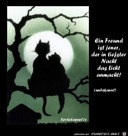 ein freund ist jener