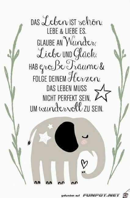 das Leben ist schoen das Leben ist schoen