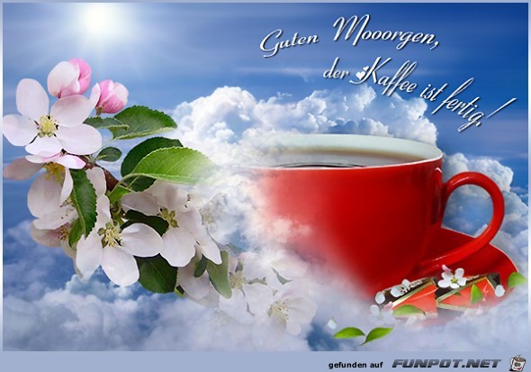 Der Cafe ist fertig Der Cafe ist fertig