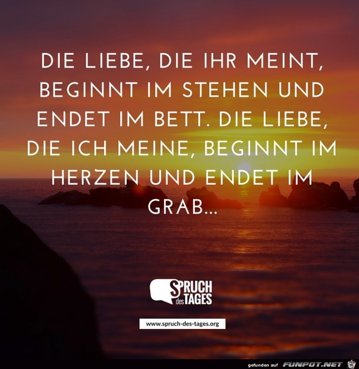 die-liebe-die-ihr-meint-