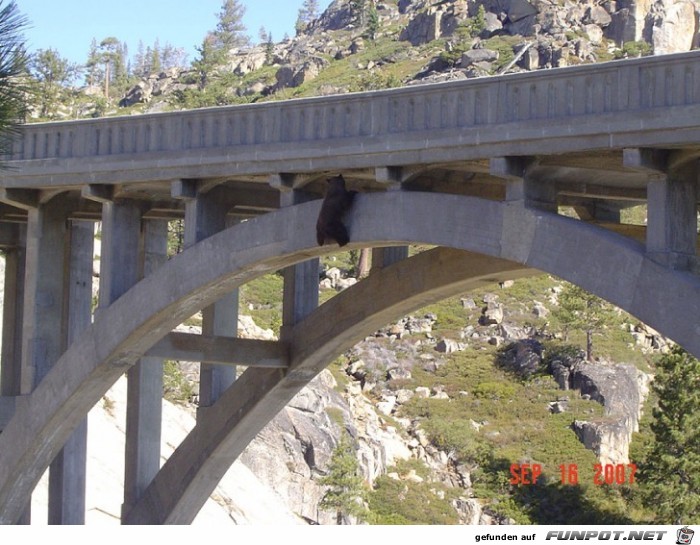 Diese Brcke ist auf der Old Donner