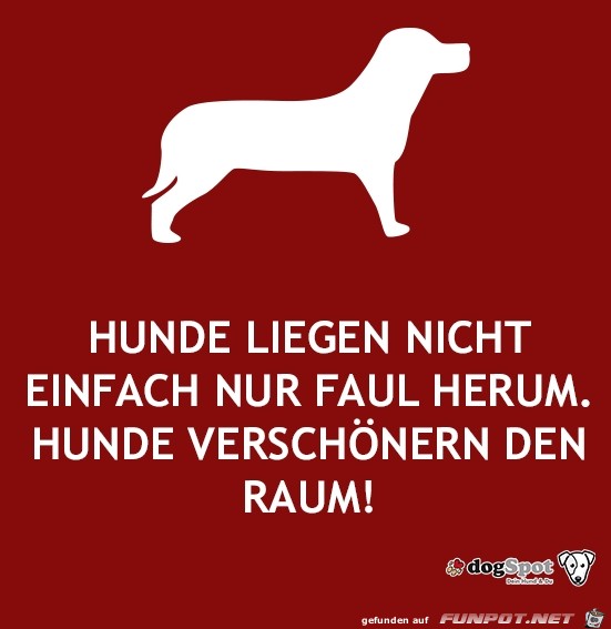 hunde...