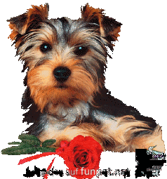 image016161617 image016161617