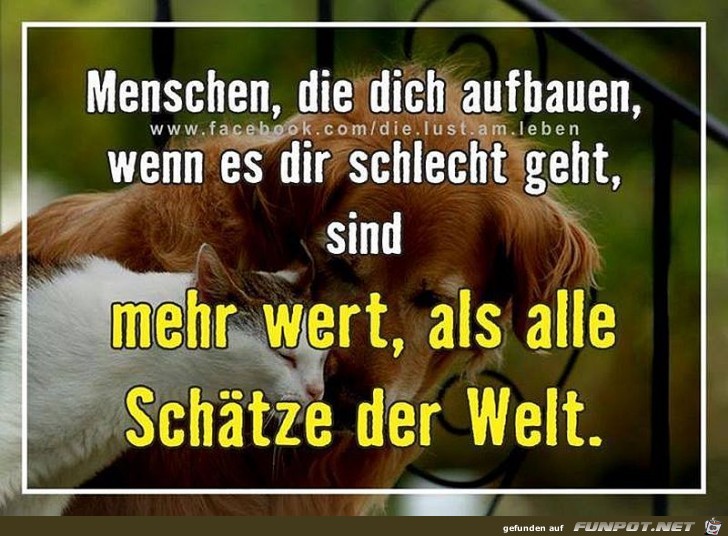 Aufbauen Aufbauen