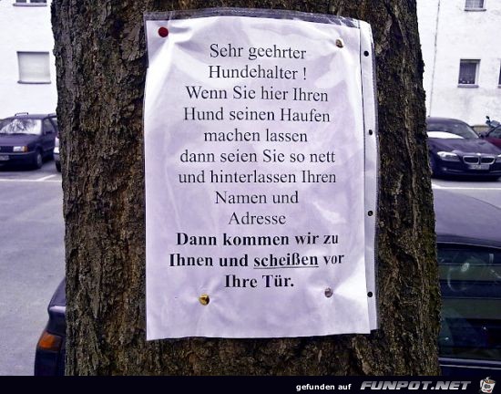 Hunde Hunde