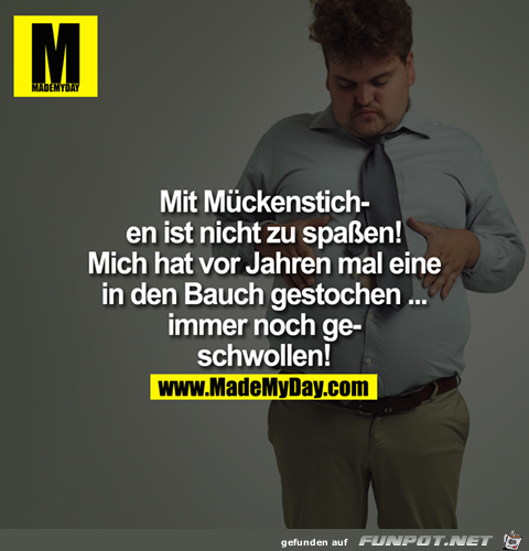 Mueckenstich