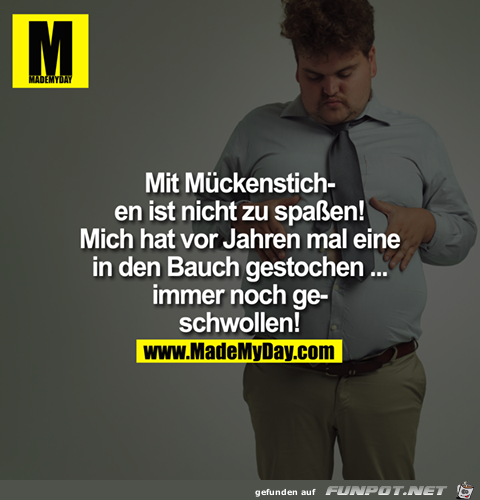 Mueckenstich Mueckenstich