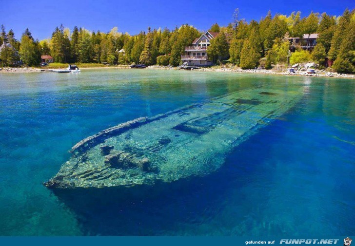 Awesome Pictures 5 Awesome Pictures 5