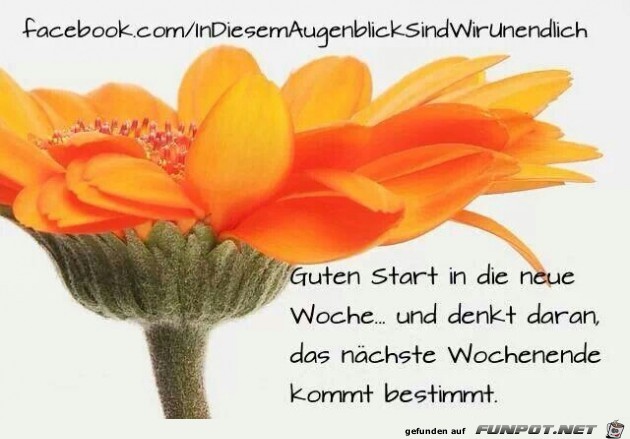 Guten Start Guten Start