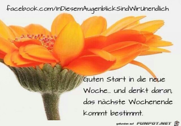 Guten Start