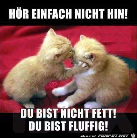 hoer einfach nicht hin hoer einfach nicht hin