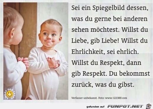 fb1 spiegel