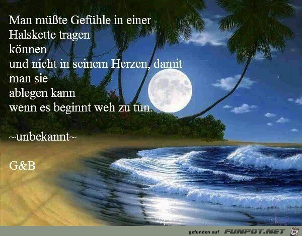 Man müßte Gefühle... Man müßte Gefühle...