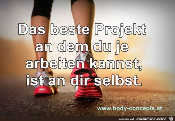 projekt