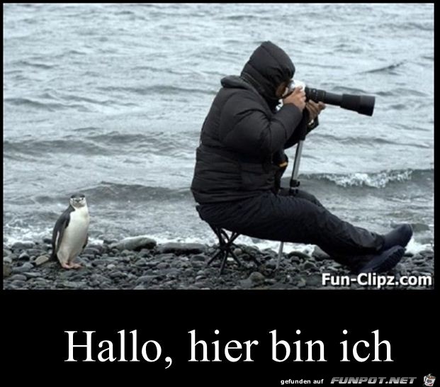 hier bin ich hier bin ich