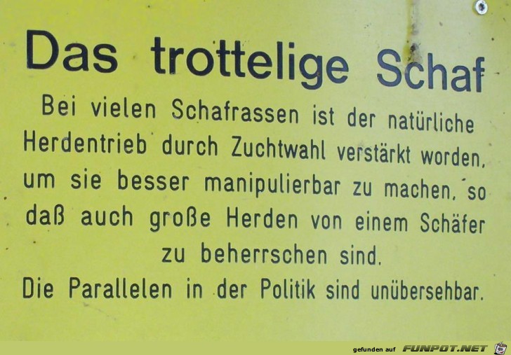 nette witzige Bilder