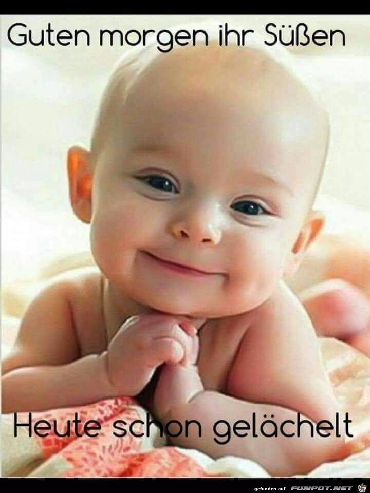 guten morgen