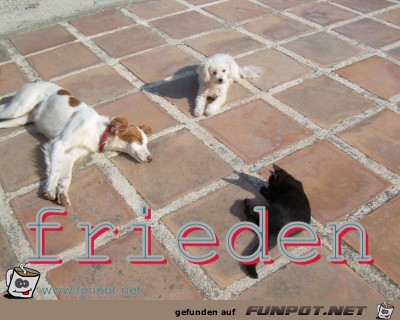 frieden frieden