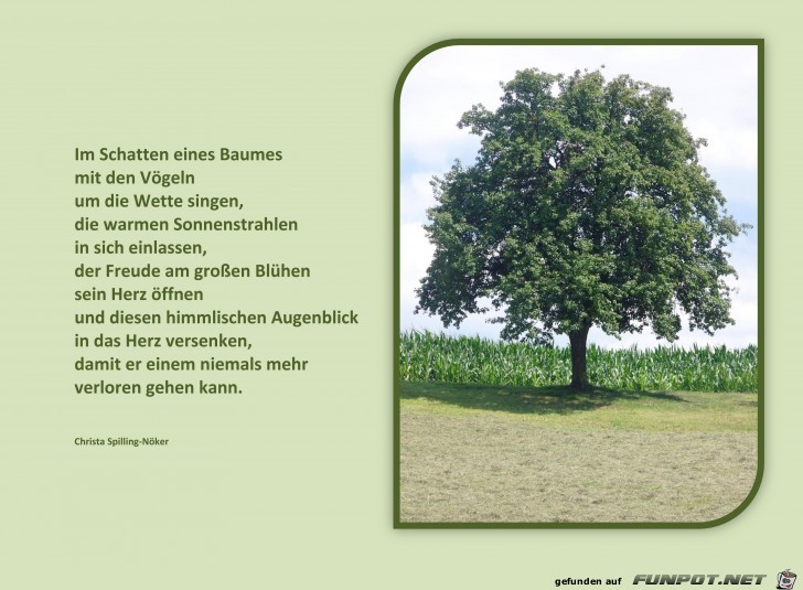 Im Schatten eines Baumes Im Schatten eines Baumes