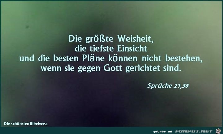 sprueche 31 30 sprueche 31 30