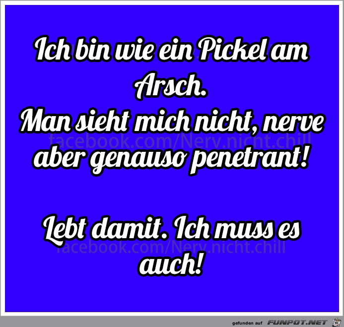 Pickel Pickel
