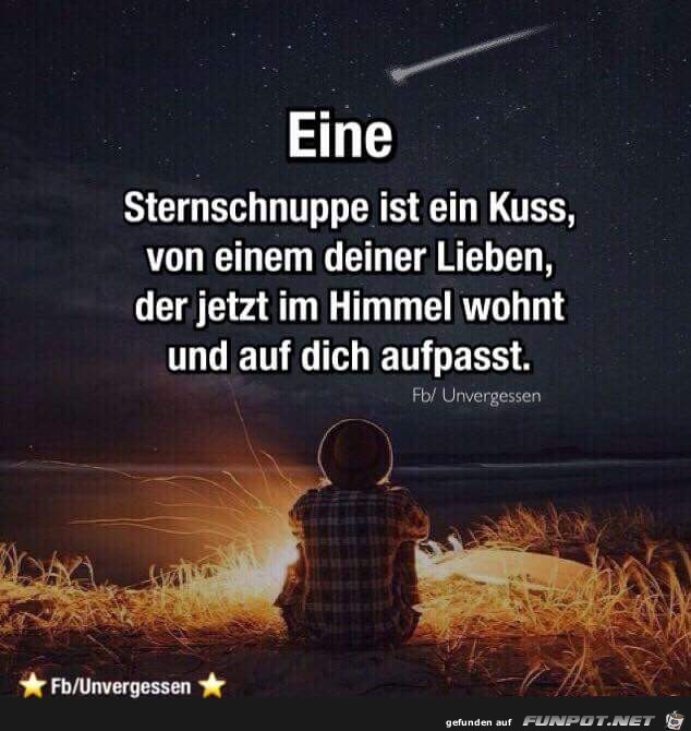 eine Sternschnuppe