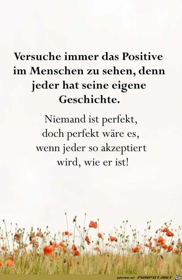 versuche immer versuche immer