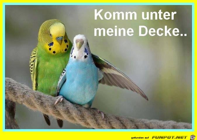 Komm Komm