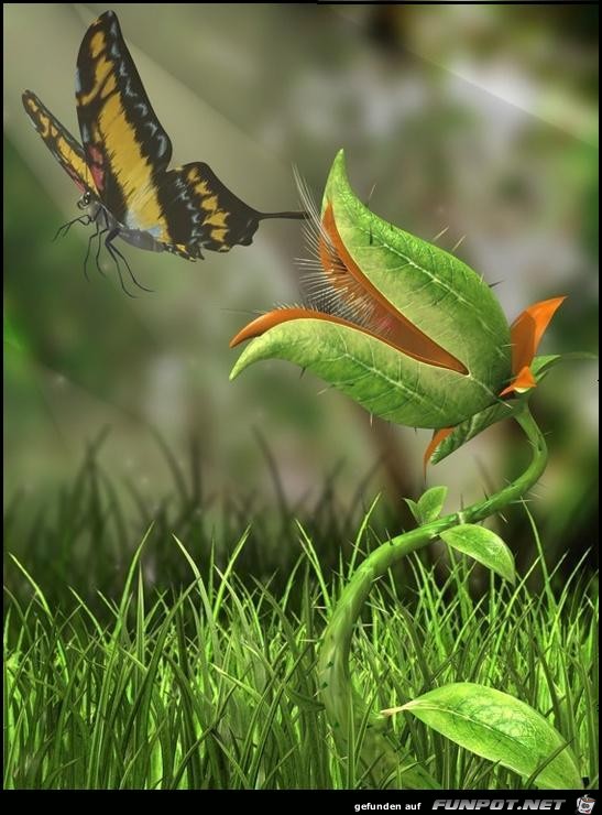0Nature 0Nature
