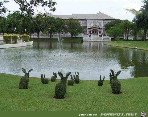 Gartenkunst - oder die Kunst mit Pflanzen umzugehen