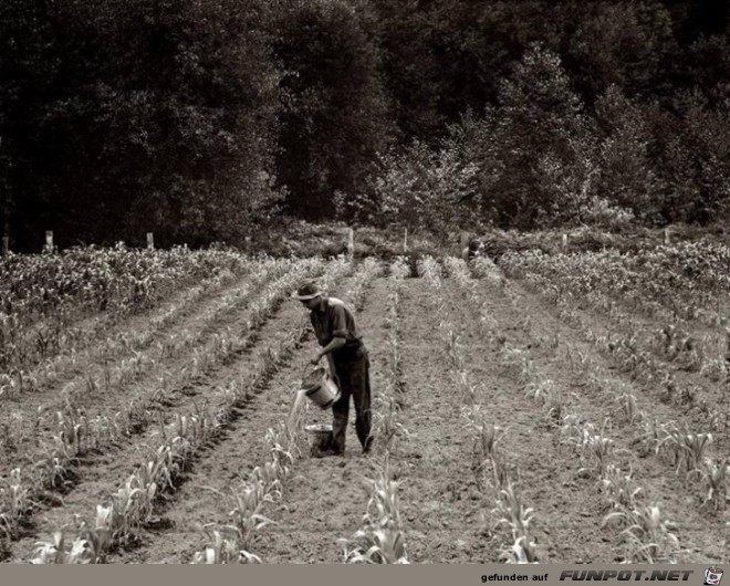Image 16 Image 16