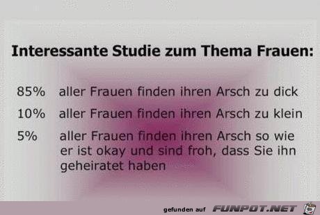 Studie Studie