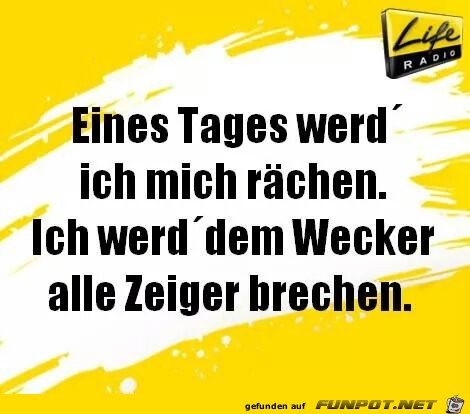 Zeiger Zeiger